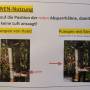 signal-2025-06-14-143221.jpeg